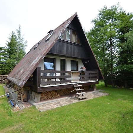 Nice Holiday Home In The Ore Mountains Only 500M From The ChairliftLoučná pod Klínovcem エクステリア 写真