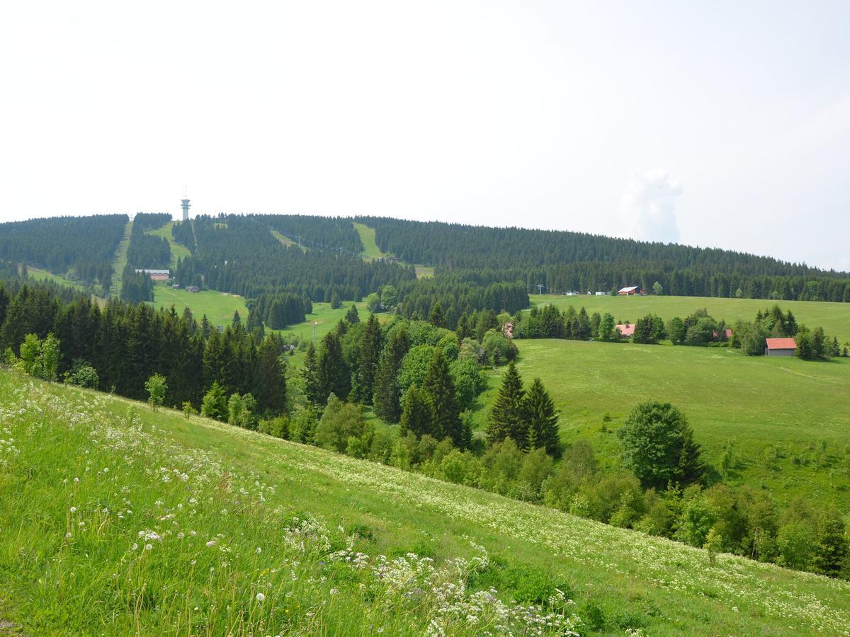 Nice Holiday Home In The Ore Mountains Only 500M From The ChairliftLoučná pod Klínovcem エクステリア 写真